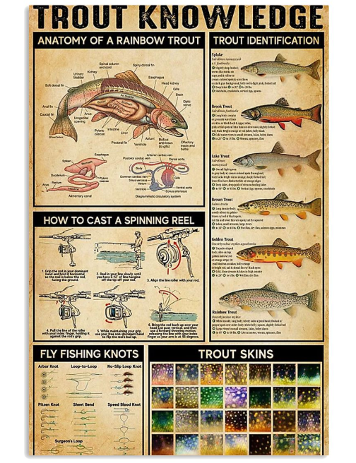 Trout knowledge poster