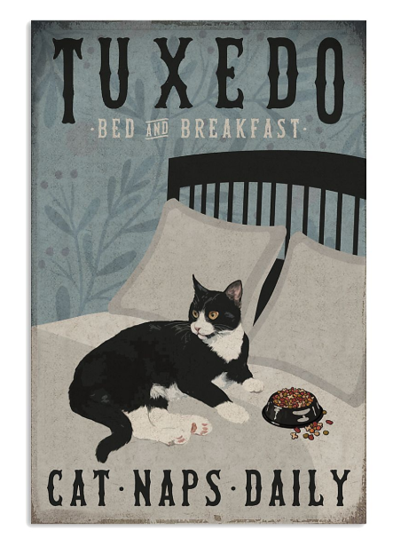 Tuxedo cat bed and breakfast Cat naps daily poster