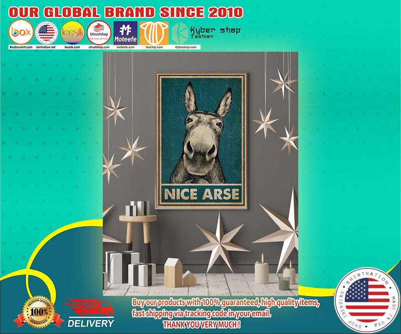A Donkey Nice Arse poster