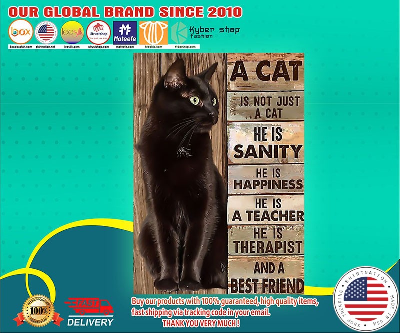 A cat is not just a cat he is sanity he is happiness poster