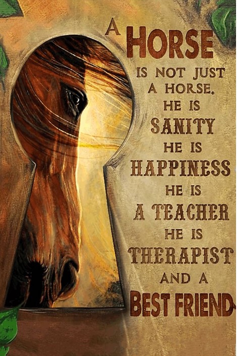 A horse is best friend poster