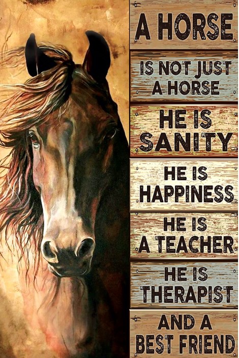 A horse is not just a horse he is sanity he is happiness poster