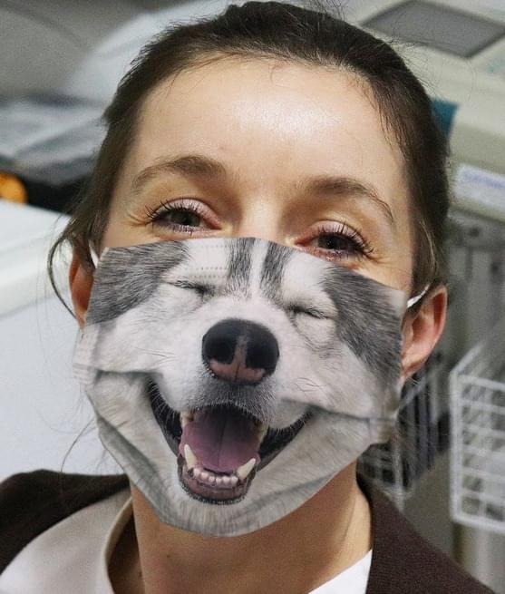 Alaskan Malamute Dog face mask