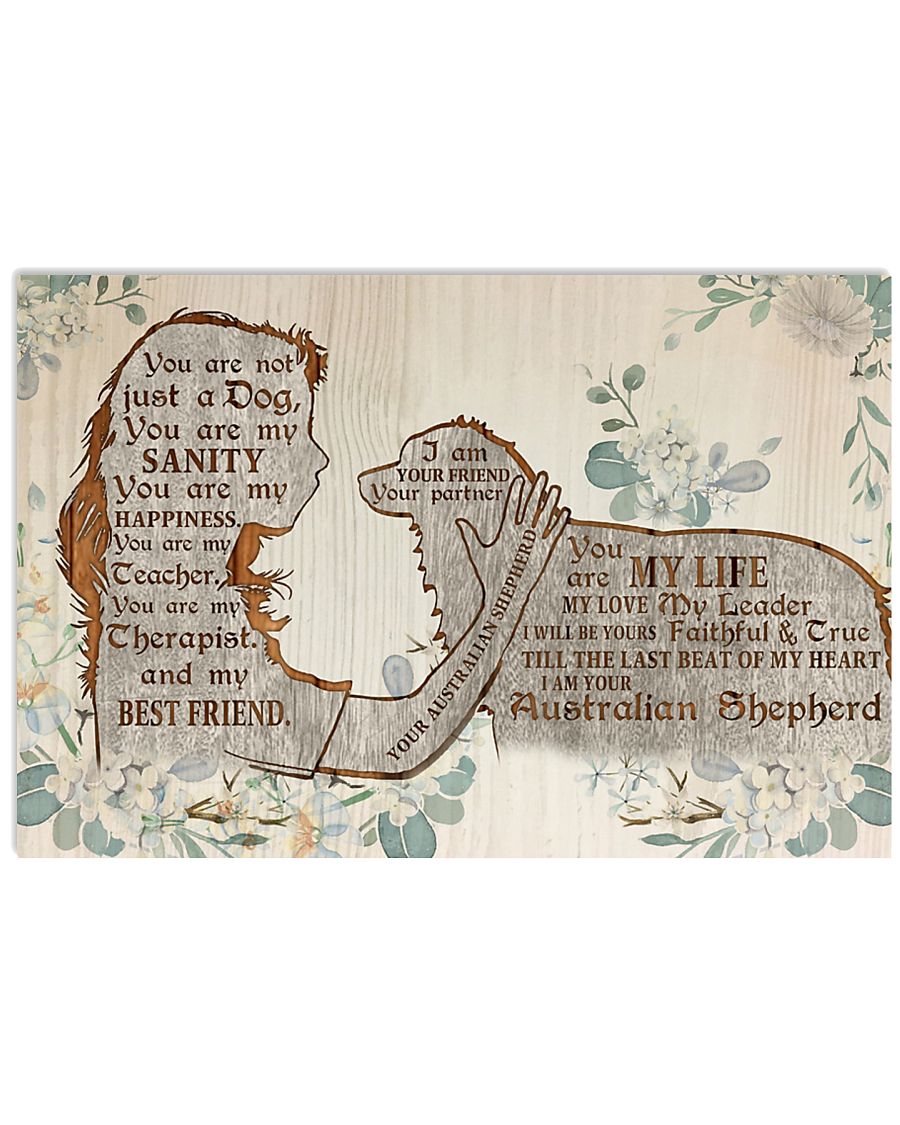 Australian shepherd you are not just a cat I am your friend poster