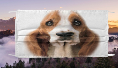 Basset Hound 3d cloth face mask