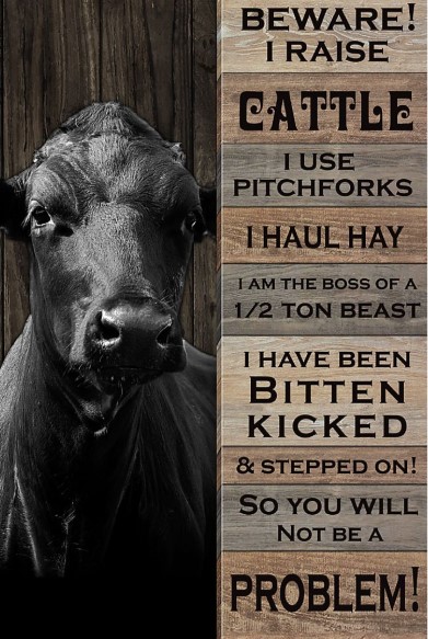 Beware I raise cattle I sue pitchforks poster