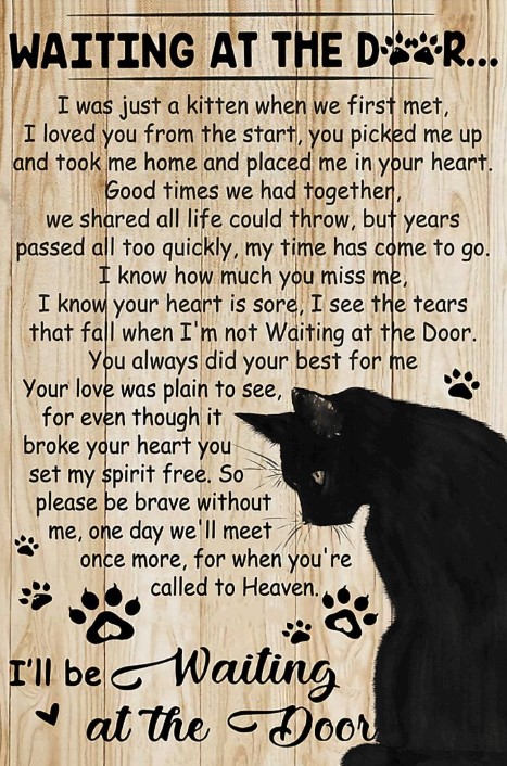 Black cat Waiting at the door poster