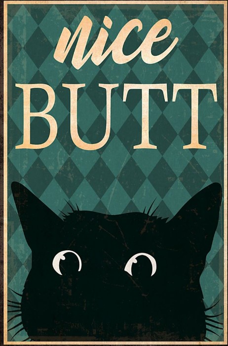 Black cat nice butt poster