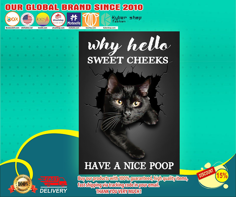 Black cat why hello sweet cheeks have a nice poop poster