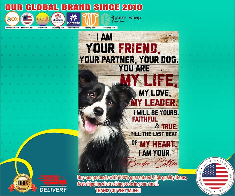 Border collie I am your friend poster