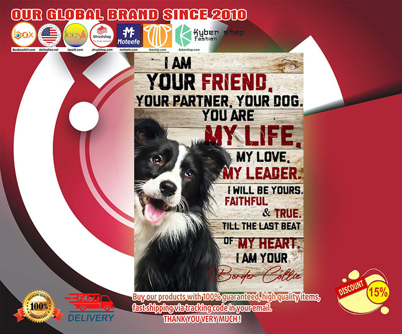 Border collie I am your friend poster