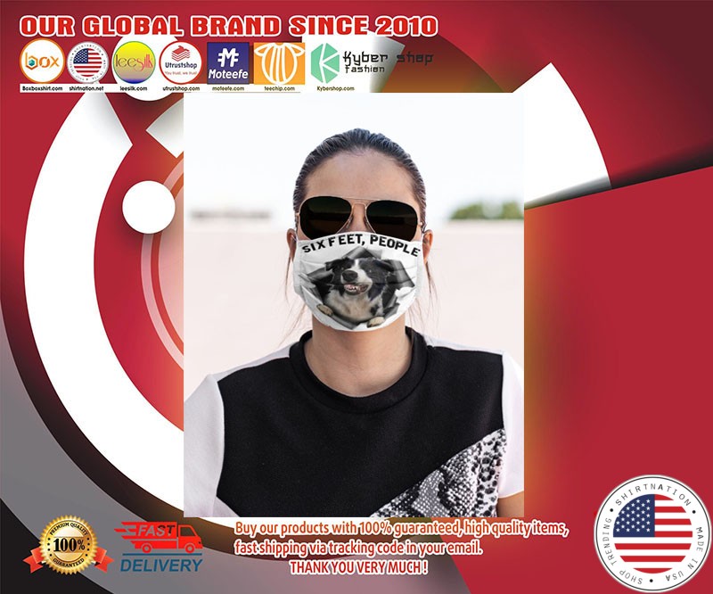 Border collie six feet people face mask