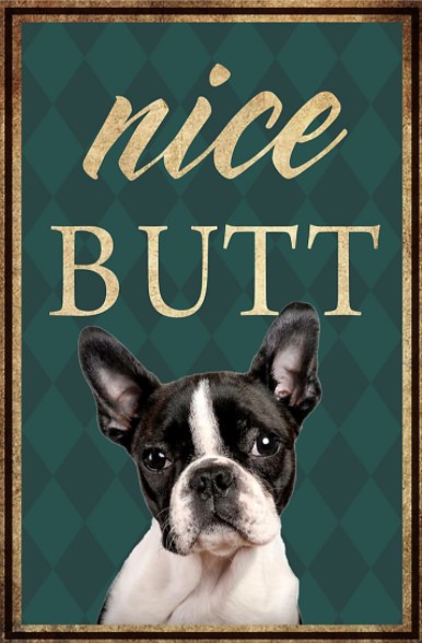 Boston Terrier Nice Butt poster