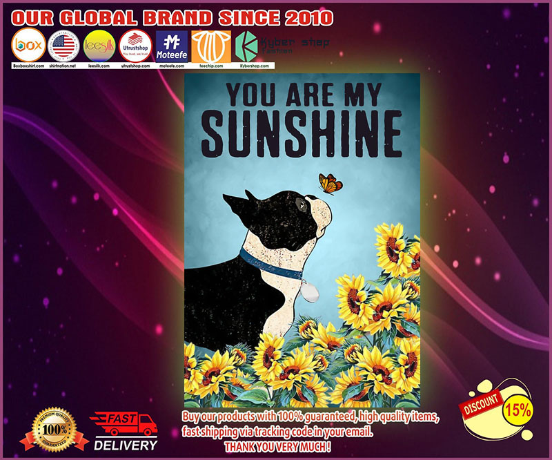 Boston terrier puppies you are my sunshine poster