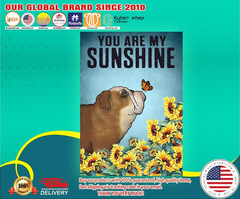 Bulldog you are my sunshine poster