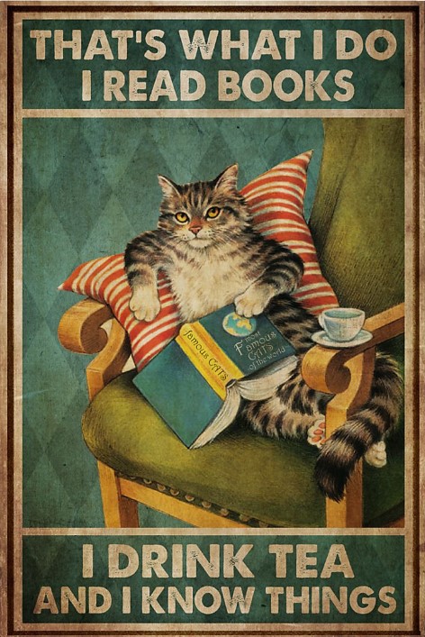Cat I read book I drink tea and I know things poster