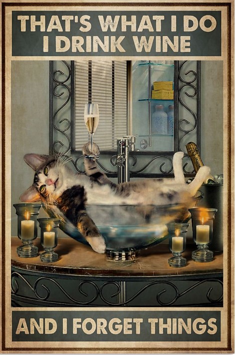 Cat That's what I do I drink wine and I forget things poster