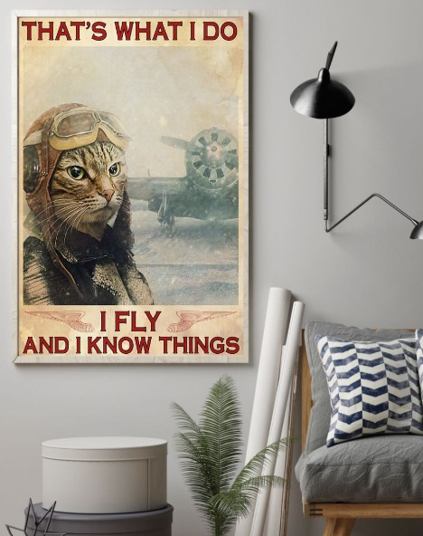 Cat That's what I do I fly and know things poster