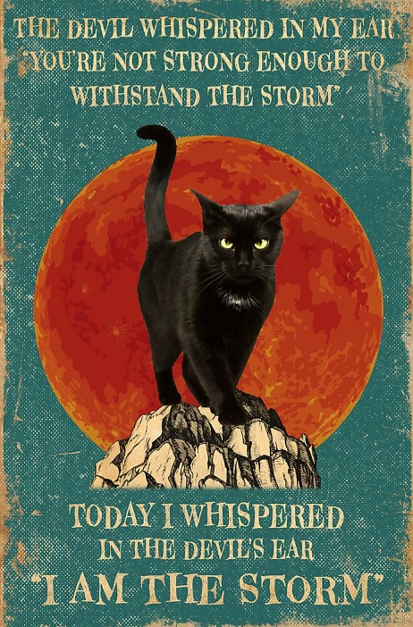 Cat The devil whispered in my ear you're not strong enough to withstand the storm poster