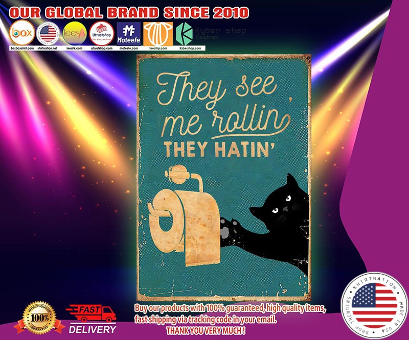 Cat They see me rolling they hatin' poster