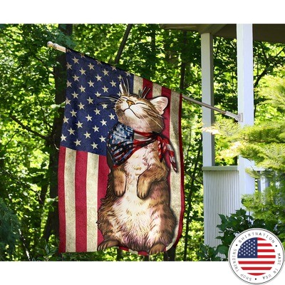 Cat US American flag