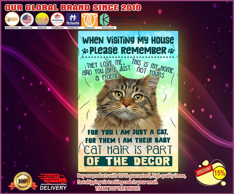 Cat When visiting my house please remember poster