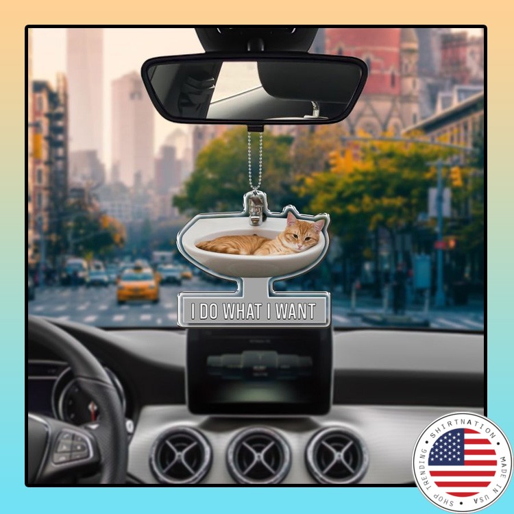 Cat car Ornament 4 1