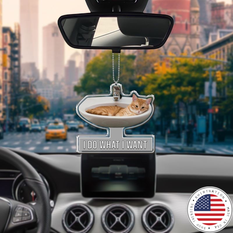 Cat car Ornament 5