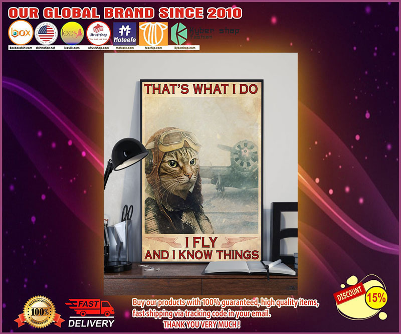 Cat that's what I do I fly and I know things poster