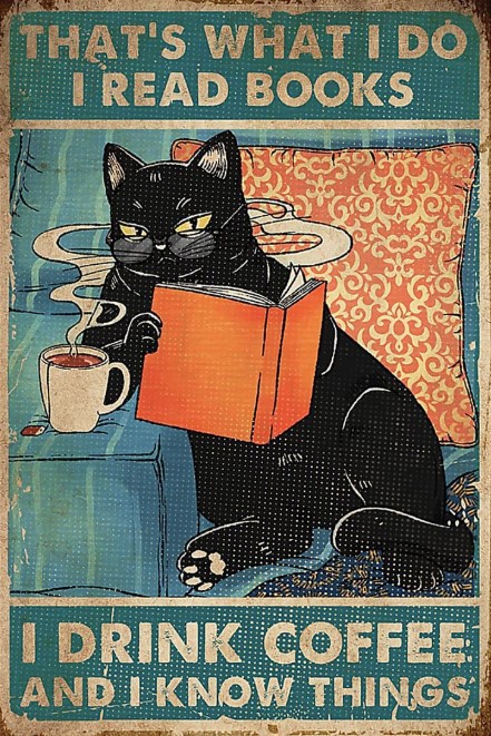 Cat that's what I do I know things I drink coffee  poster