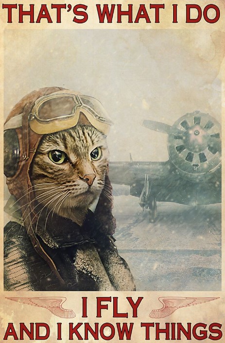 Cat that's what I do I know things I fly poster