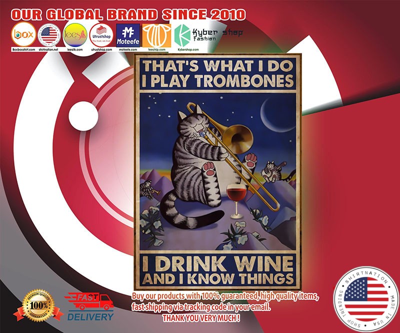 Cat that's what I do I play trombones I drink wine and I know things poster