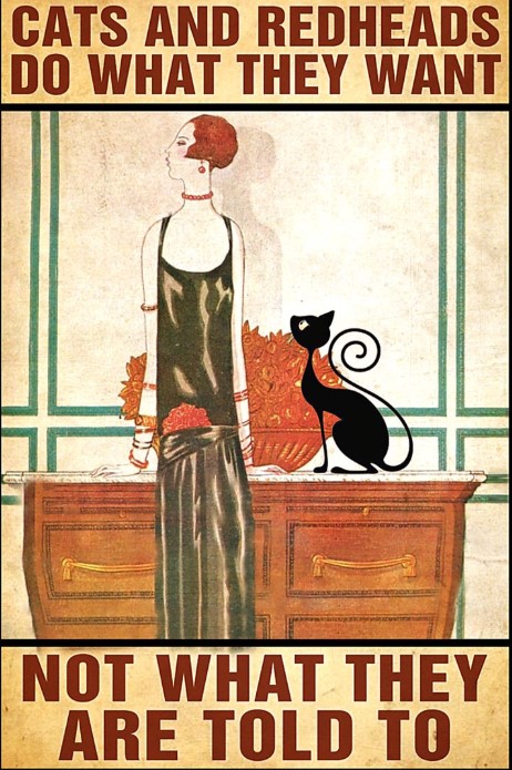 Cats and redheads do what they want poster