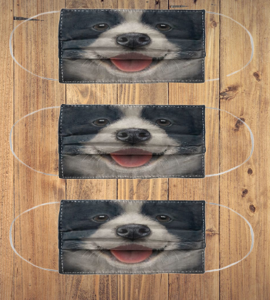 Collie Border 3d cloth face mask