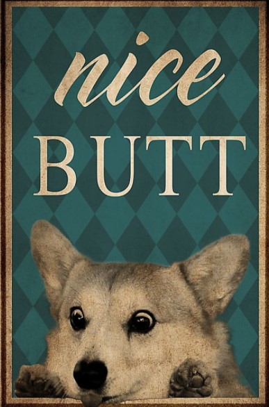 Corgi dog nice butt poster