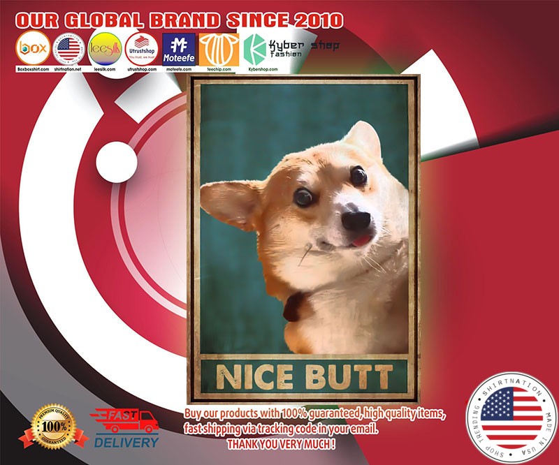 Corgi nice butt poster