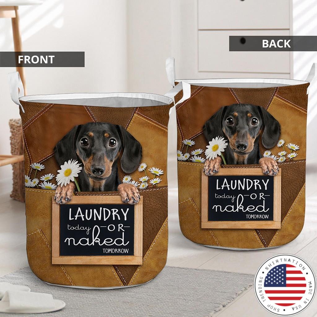Dachshund Laundry today or naked tomorrow basket laundry2