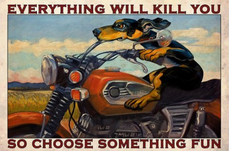 Dachshund motorcycle everything will kill you so choose something fun poster