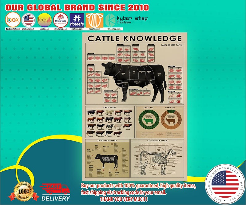 Dairy cow knowledge poster