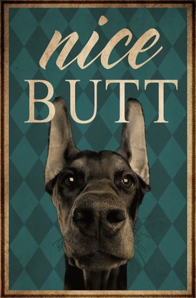 Dog Doberman Nice butt poster