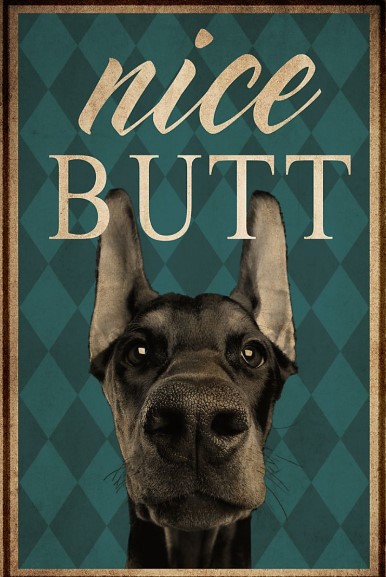 Dog Doberman nice butt poster