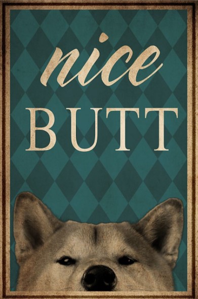 Dog Shiba Inu Nice Butt poster