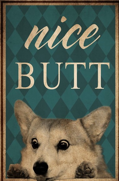 Dog corgi nice butt poster