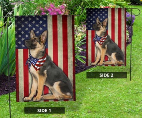Dog german shepherd US Amerian flag