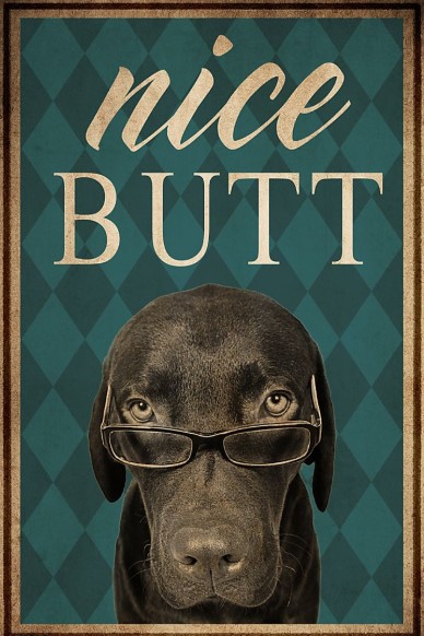 Dog labrador nice butt poster