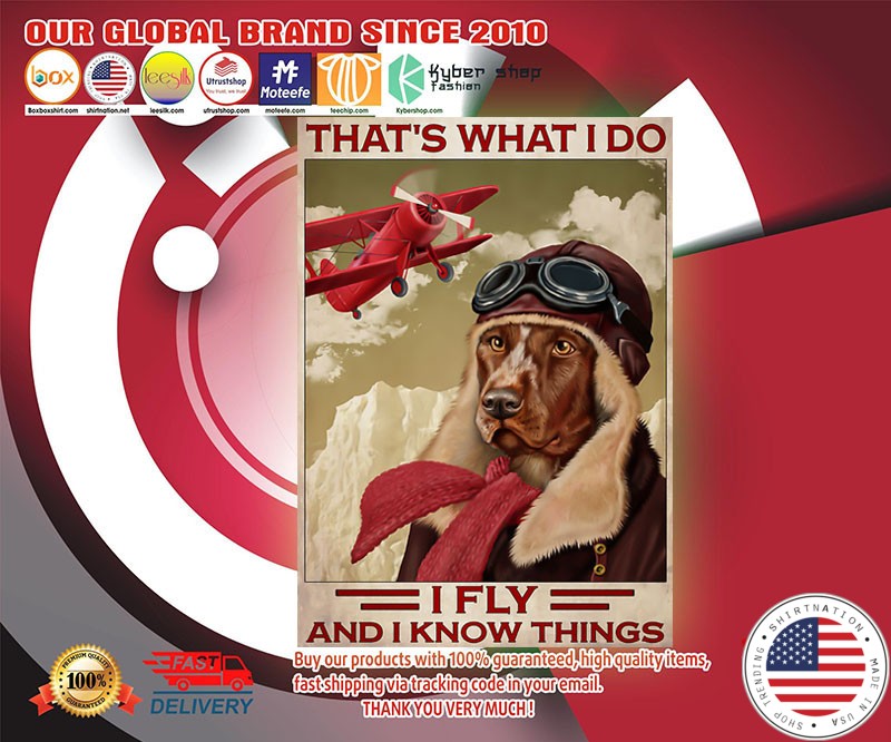 Dog that's what I do I fly and I know things poster