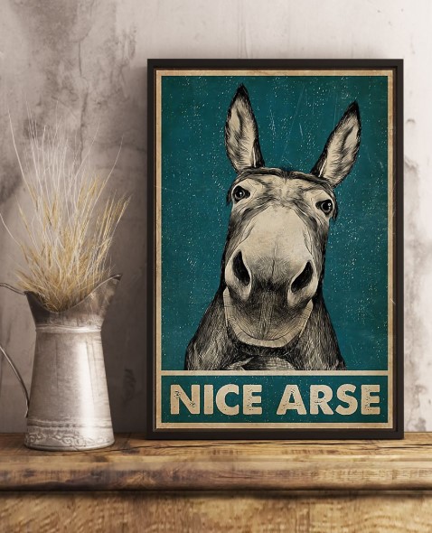 Nice Donkey Arse poster