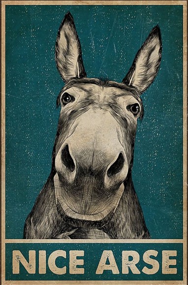 Donkey Nice Arse poster