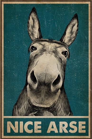Donkey Nice Arse poster