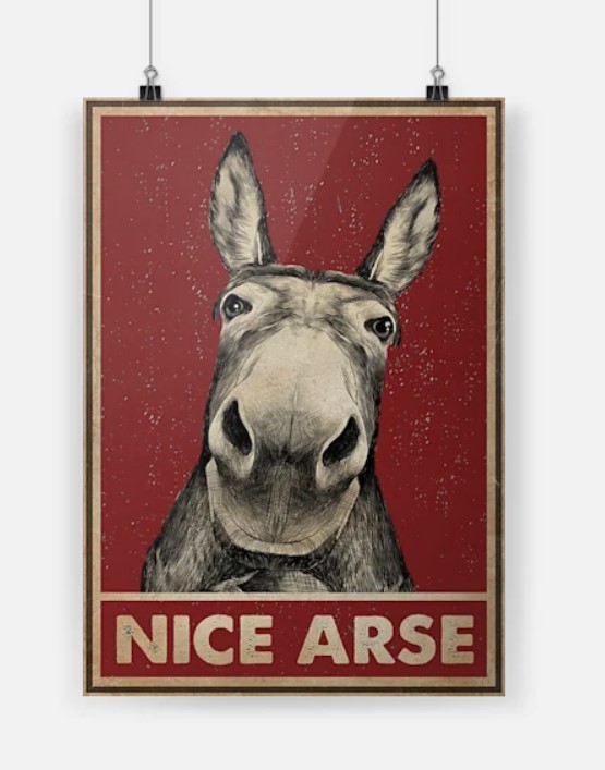 Nice Arse Donkey poster